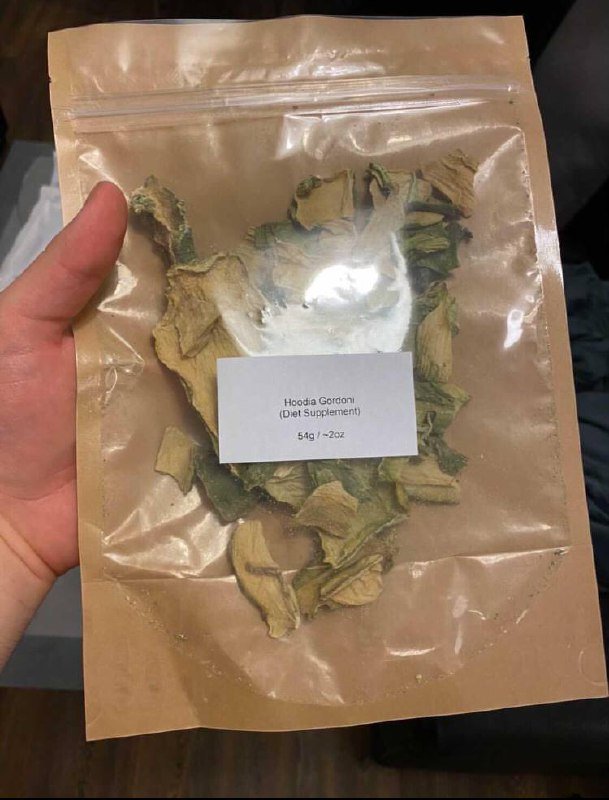 Buy Payote Mescaline Online, Buy Dried Payote Mescaline Online, Where to buy Payote Mescaline Online, Buy Payote Mescaline near me, Where can i buy Payote Mescaline online, Buy Payote Mescaline with fast shipping, Buy Payote Mescaline with bitcoin discreetly online, Order Payote Mescaline Online, Can i buy Payote Mescaline in USA, Order Payote Mescaline near me