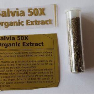 Buy Salvia Divinorum Online USA, Where to buy Salvia Divinorum Online, Buy Salvia Divinorum near me, Where can i buy Salvia Divinorum online, Buy Salvia Divinorum with fast shipping, Buy Salvia Divinorum with bitcoin discreetly online, Order Salvia Divinorum Online, Can i buy Salvia Divinorum in USA, Order Salvia Divinorum near me