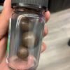 Mushroom Chocolate Treats
