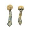 Buy Shrooms Online Michigan, Buy Magic Mushrooms Online Michigan, Buy Psilocybin Online Michigan, Where to buy Shrooms Online Michigan, Buy Shrooms near me Michigan, Where can i buy Shrooms online Michigan, Buy Shrooms with fast shipping Michigan, Buy Shrooms with bitcoin discreetly online Michigan, Order Shrooms Online Michigan, Can i buy Shrooms in Michigan, Order Shrooms near me Michigan Buy Shrooms Online Michigan, Buy Magic Mushrooms Online Michigan, Buy Psilocybin Online Michigan, Where to buy Shrooms Online Michigan, Buy Shrooms near me Michigan, Where can i buy Shrooms online Michigan, Buy Shrooms with fast shipping Michigan, Buy Shrooms with bitcoin discreetly online Michigan, Order Shrooms Online Michigan, Can i buy Shrooms in Michigan, Order Shrooms near me Michigan