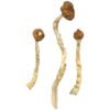 Buy Shrooms Online Illinois, Buy Magic Mushrooms Online Illinois, Buy Psilocybin Online Illinois, Where to buy Shrooms Online Illinois, Buy Shrooms near me Illinois, Where can i buy Shrooms online Illinois, Buy Shrooms with fast shipping Illinois, Buy Shrooms with bitcoin discreetly online Illinois, Order Shrooms Online Illinois, Can i buy Shrooms in Illinois, Order Shrooms near me Illinois, Buy Shrooms Discreet Shipping Illinois