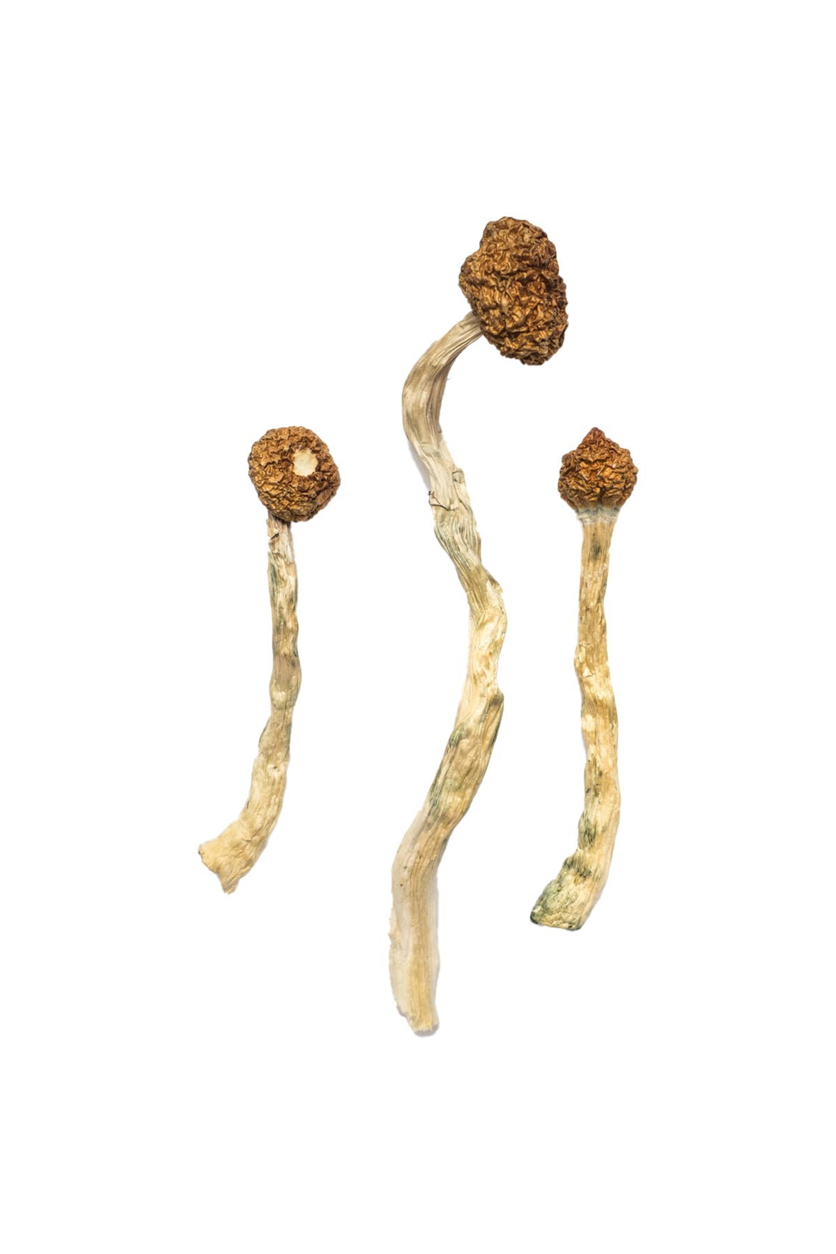 Buy Shrooms Online Illinois, Buy Magic Mushrooms Online Illinois, Buy Psilocybin Online Illinois, Where to buy Shrooms Online Illinois, Buy Shrooms near me Illinois, Where can i buy Shrooms online Illinois, Buy Shrooms with fast shipping Illinois, Buy Shrooms with bitcoin discreetly online Illinois, Order Shrooms Online Illinois, Can i buy Shrooms in Illinois, Order Shrooms near me Illinois, Buy Shrooms Discreet Shipping Illinois