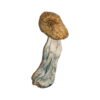 Buy Shrooms Online Denver CO, Buy Magic Mushrooms Online Denver CO, Buy Psilocybin Online Denver CO, Where to buy Shrooms Online Denver CO, Buy Shrooms near me Denver CO, Where can i buy Shrooms online Denver CO, Buy Shrooms with fast shipping Denver CO, Buy Shrooms with bitcoin discreetly online Denver CO, Order Shrooms Online Denver CO, Can i buy Shrooms in Denver CO, Order Shrooms near me Denver CO, Buy Shrooms Discreet Shipping Denver CO