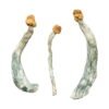 Buy Shrooms Online Colorado, Buy Magic Mushrooms Online Colorado, Buy Psilocybin Online Colorado, Where to buy Shrooms Online Colorado, Buy Shrooms near me Colorado, Where can i buy Shrooms online Colorado, Buy Shrooms with fast shipping Colorado, Buy Shrooms with bitcoin discreetly online Colorado, Order Shrooms Online Colorado, Can i buy Shrooms in Colorado, Order Shrooms near me Colorado