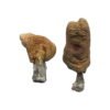 Hawaiian-Shrooms.jpg Hawaiian Magic Mushrooms